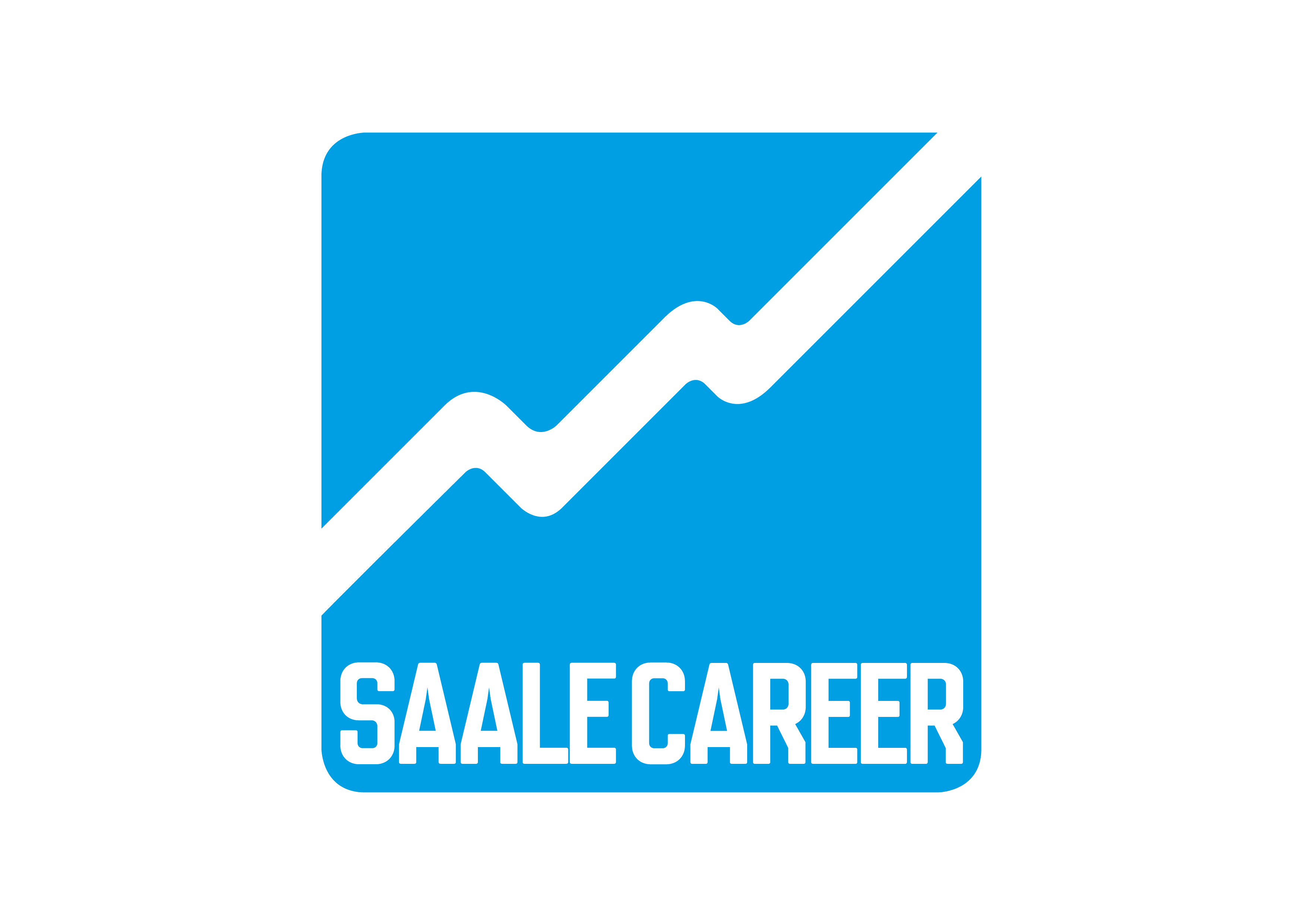 Logo Saalecareer